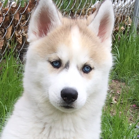 Belmina Angier - Poshmark Profile Picture of Belmina Angier (@dhhsbsb) on Poshmark