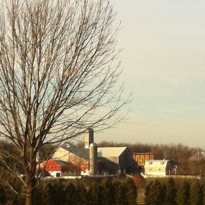 Profile Picture of Monica Alexander (@monym8) on Twitter