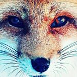 Profile Picture of Adrian Simon (@adri_sims_1234) on Instagram