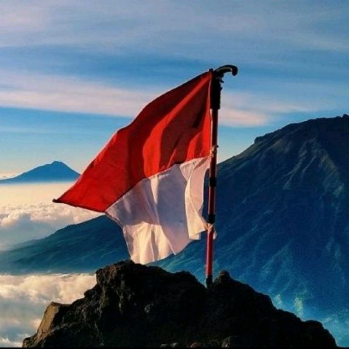 Robertferlanddd - Tiktok Profile Picture of Robertferlanddd (@robertferlanddd) on Tiktok