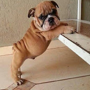 Profile Picture of Hailey Foster (@haileyfoster7503) on Youtube