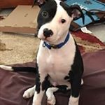 Profile Picture of Jenna Kirwan (@kirwanjenna) on Instagram