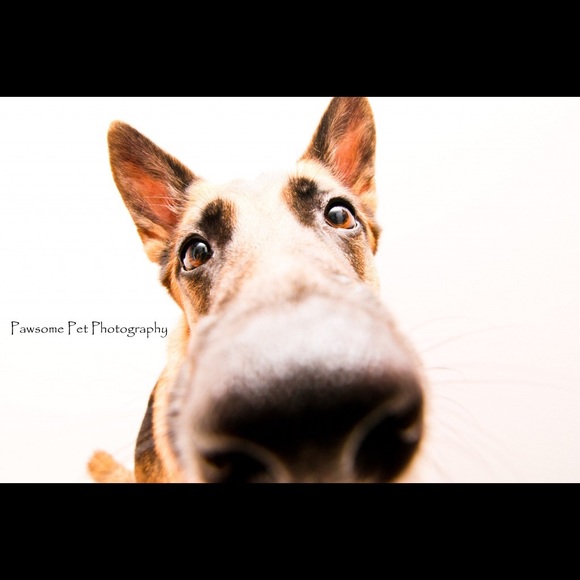 Profile Picture of Anthony Rainone (@antrain22) on Poshmark