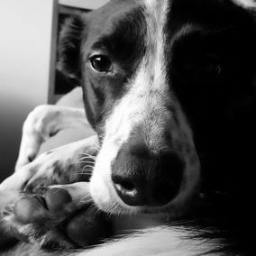 Profile Picture of Corey Beale (@CoRayBee) on Twitter