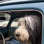 Profile Picture of Ralph Späth (@ralph.spaeth) on Instagram