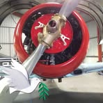 Profile Picture of Chris Digiacomo (@chris.acautos) on Facebook