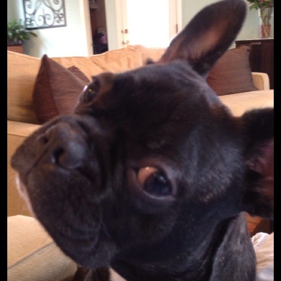 Profile Picture of Alex Lesperance (@alesperance) on Poshmark