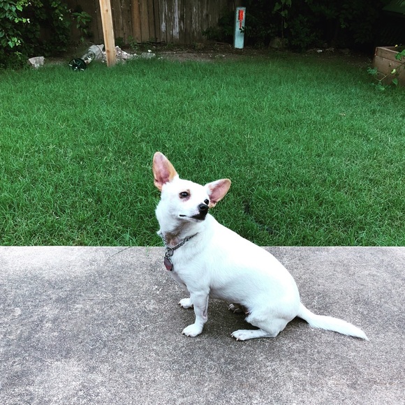 Profile Picture of Zoe Scott (@getthriftier) on Poshmark