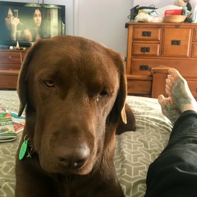 Profile Picture of Bob Renshaw (@BobRenshaw3) on Twitter