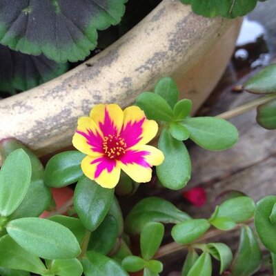 Profile Picture of Amy Groff (@katburd3) on Twitter