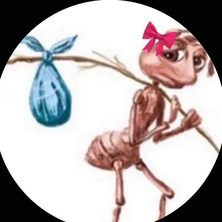 Profile Picture of lucy🧸 (@lucydaviddd) on Tiktok