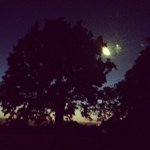 Profile Picture of James Pounder (@jamespounder) on Instagram