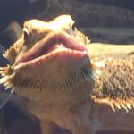 Profile Picture of Luke Alexander Carnes (@lukethesadist) on Instagram