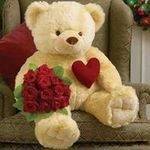 Profile Picture of Tomas Capetillo (@tomas.capetillo) on Instagram