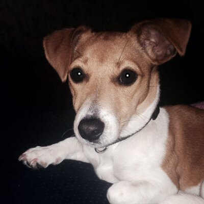 Profile Picture of Lucy Gilmour (@lucyg87) on Twitter