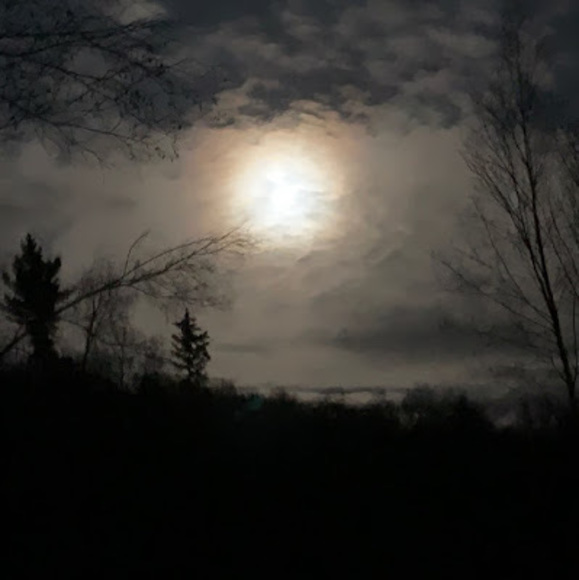 Profile Picture of Sean Isabell (@seanisabell) on Poshmark