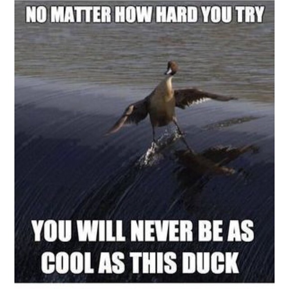 Profile Picture of Aiden Drallette (@aiden2002103) on Poshmark