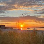 Profile Picture of Dawn Ferro (@dmferro26) on Instagram