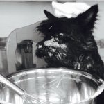 Petter Skuseth - Instagram Profile Picture of Petter Skuseth (@petter_skuseth) on Instagram