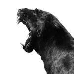 Jesse Van Der Linden - Instagram Profile Picture of Jesse Van Der Linden (@jesse.vdl) on Instagram