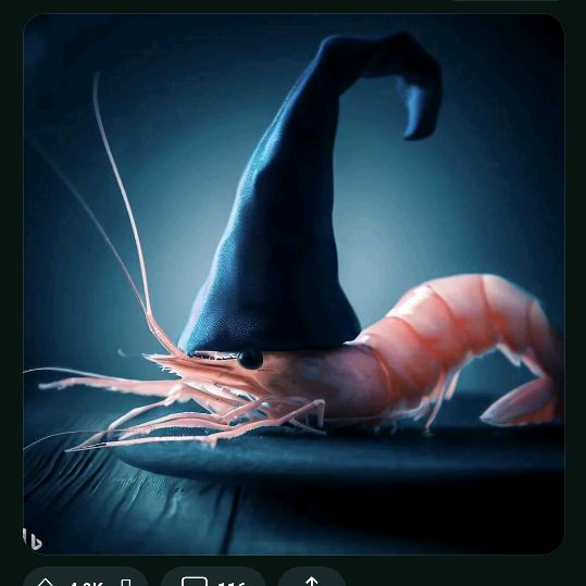 Profile Picture of Thomas Reff (@thomas_reff) on Tiktok