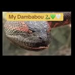 Profile Picture of Noël Doris (@Noël-Doris) on Facebook