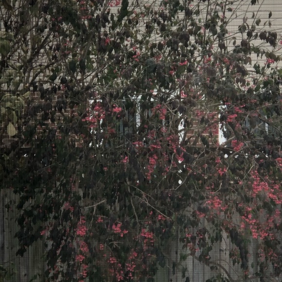 Profile Picture of Rochelle Keil (@rocky712) on Poshmark