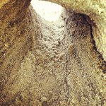 Profile Picture of Joel Vance (@advocana) on Instagram