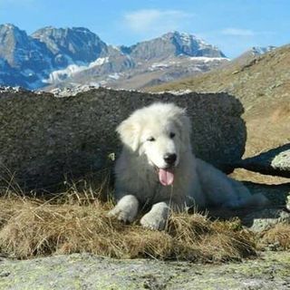 Profile Picture of Alexia Giannetti (@alexia.giannetti) on Facebook