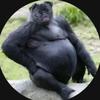 Profile Picture of Jakob Edwards (@@jakobedwards5) on Tiktok