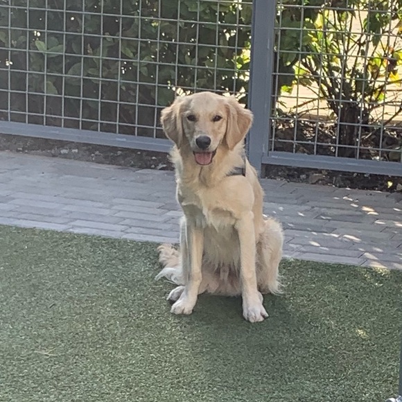 Profile Picture of Kimberly Goozh (@kgoozh) on Poshmark