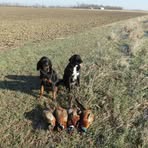 Profile Picture of Brian Wakeman (@brian.wakeman.35) on Facebook