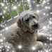 Profile Picture of Val Bailey (@val.bailey.3) on Facebook