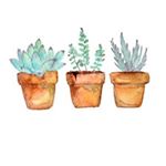 Profile Picture of Renee Arroyo (@cottage.on.710) on Instagram