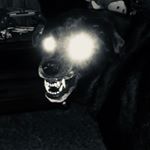 Profile Picture of John D Boykin (@johnboykin1970) on Instagram