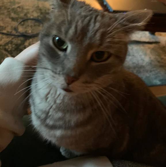 Profile Picture of Maria Fobes (@mariafobes) on Poshmark