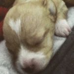 Profile Picture of Lorena Montero (@fresamontero) on Instagram