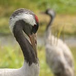 Profile Picture of Justyna Żurawska (@Justyna-Żurawska) on Facebook