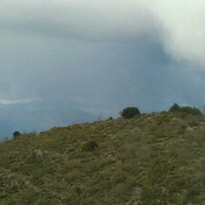 Profile Picture of Veronica Cazorla Lop (@1979_lop) on Twitter