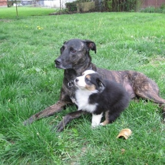 Profile Picture of Bradley Arnold (@bradley_arnold) on Poshmark
