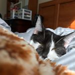 Profile Picture of Amos (@barnettgeoffrey175) on Instagram