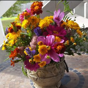 Profile Picture of Heather Damiani (@heatherdamiani) on Pinterest