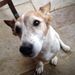 Profile Picture of Paul Vandenberg (@pvdb221) on Pinterest