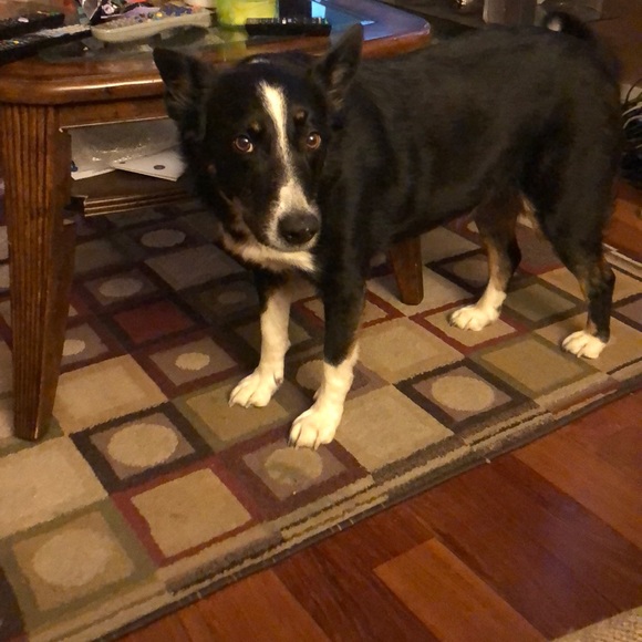 Profile Picture of Jaycee Martin (@jaycee_martin) on Poshmark