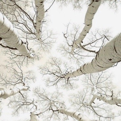 Profile Picture of Amanda Hannen (@hannen_amanda) on Twitter