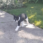 Profile Picture of Yesenia Chacon (@yeseniachacon3256) on Youtube