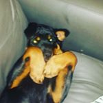 Profile Picture of kyle musey (@museykyle) on Instagram