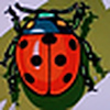 Profile Picture of polkadotredbug (@polkadotredbug) on Flickr