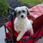 Profile Picture of Beverly Smith (@bevsmith12) on Instagram