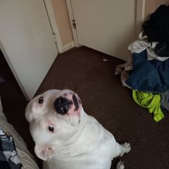 Profile Picture of John Weiser (@john.weiser3) on Tiktok